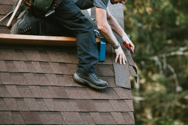 Quick and Trustworthy Emergency Roof Repair Services in Stephens City, VA